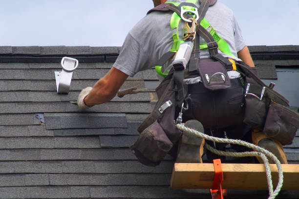 Best Storm Damage Roof Repair  in Seneca, IL