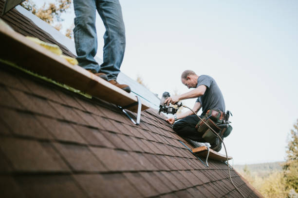 Best Commercial Roofing Services  in Seneca, IL